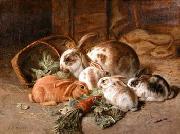 unknow artist Rabbits 135 oil painting picture wholesale